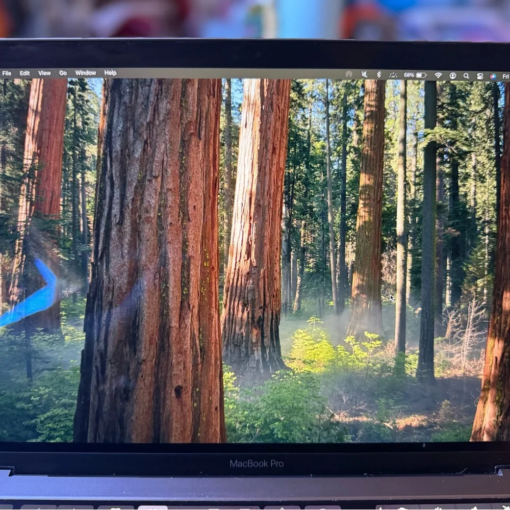 Apple Metallic Gray Laptop